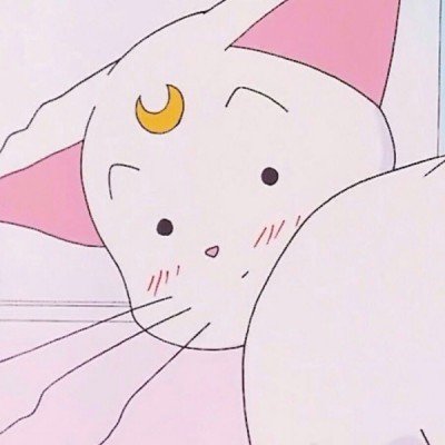 胃不好的人每天belike